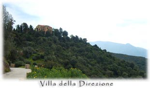 villa delle Direzione